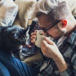Conoce los beneficios que traerá sumar un gatito a tu familia mascotas