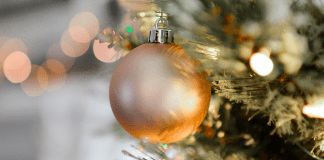 La primer navidad juntos