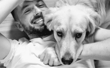 Adoptare, asociación sin fines de lucro