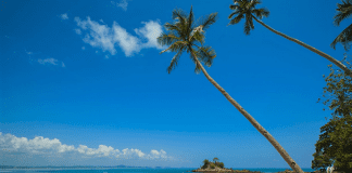 romance / Glam Weddings