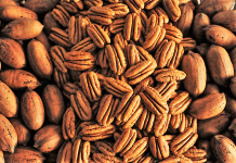 nuez pecana mexicana