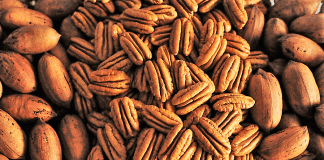 nuez pecana mexicana