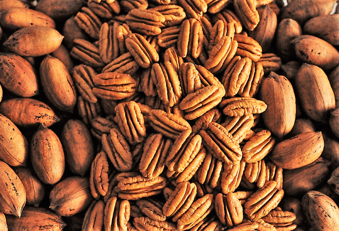 nuez pecana mexicana