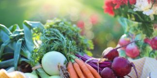 alimentos orgánicos