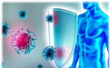 Hablemos de inmuno-nutrición