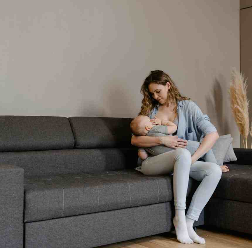 Lactancia y embarazo