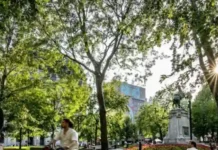 11 cosas que no sabías de Montréal