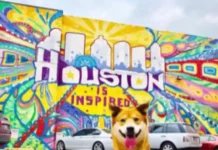 Vacaciones pet friendly en Houston vacaciones pet friendly en Houston