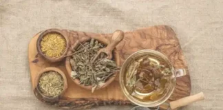 El Poder Curativo de las Plantas Plantas medicinales